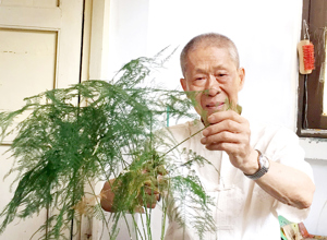 平凡的感動---記公司建廠元老、勞動模范 吳富龍