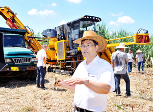 “鐵牛”“啃”甘蔗　“吸睛”又“吸粉”　柳工農機公司甘蔗生產全程機械化產品受追捧