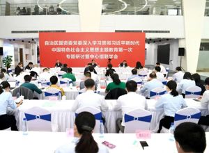 推動主題教育走深走實 | 自治區(qū)國資委黨委與柳工集團黨委組織開展聯(lián)學